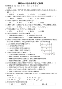 2024年山东省枣庄市滕州市中考模拟化学试卷4