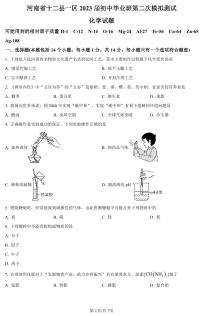 2024年河南省信阳市九年级中考一模化学试题及答案