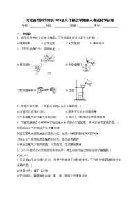 河北省沧州市青县2024届九年级上学期期末考试化学试卷(含答案)