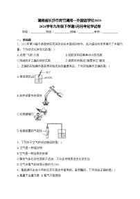 湖南省长沙市青竹湖湘一外国语学校2023-2024学年九年级下学期3月月考化学试卷(含答案)