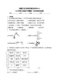 内蒙古乌兰浩特市第五中学2022-2023学年九年级下学期第一次月考化学试卷(含答案)