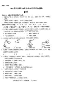 2024年贵州省毕节市纳雍县部分学校九年级下学期一模考试化学试题+