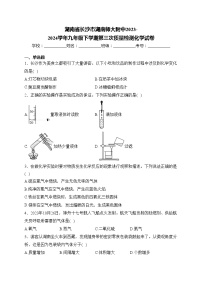 湖南省长沙市湖南师大附中2023-2024学年九年级下学期第三次质量检测化学试卷(含答案)