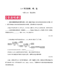 中考化学一轮复习考点提分练习专题1.4.3 常见的酸碱盐——粗盐提纯（含答案）