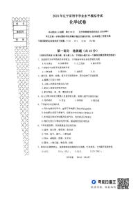 2024年辽宁省大连市高新区中考一模化学试题