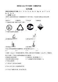2024年河南省洛阳市汝阳县中考第一次模拟考试化学试题