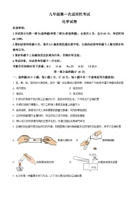 2024年陕西省铜川市中考一模化学试题（原卷版+解析版）