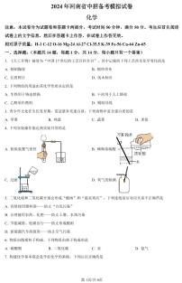 2024年河南省驻马店市中考一模化学试题和答案