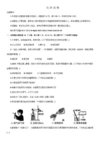 2024年河南省洛阳市涧西区中考一模考试化学试卷