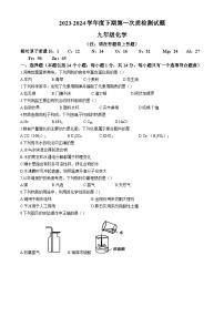 2024年河南省驻马店市泌阳县中考一模化学试题