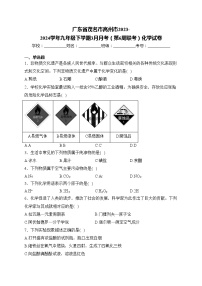 广东省茂名市高州市2023-2024学年九年级下学期3月月考（第6周联考）化学试卷(含答案)