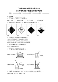 广东省湛江市雷州市第三中学2022-2023学年九年级下学期4月月考化学试卷(含答案)