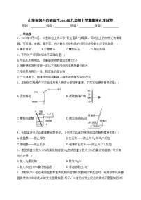 山东省烟台市栖霞市2023届九年级上学期期末化学试卷(含答案)