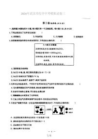 2024年湖北省武汉市中考模拟化学试卷+