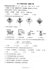 2024年广东省珠海市第十一中学中考第一次模拟考试化学试题