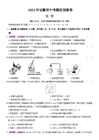 2024年安徽省中考模拟预测化学试卷