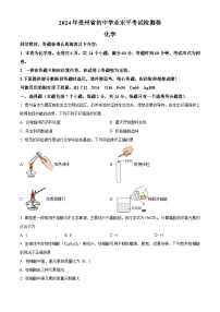 2024年贵州省毕节市纳雍县部分学校中考一模化学试题（原卷版+解析版）