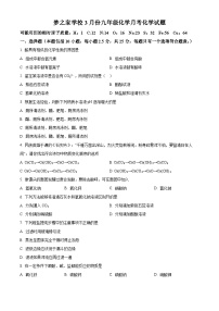 山东省德州市乐陵市梦之家学校2023-2024学年九年级下学期4月月考化学试题（原卷版+解析版）