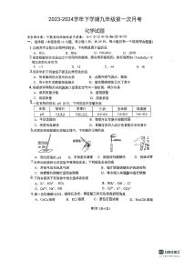 山东省德州市宁津县育新中学2023-2024学年九年级下学期3月月考化学试题