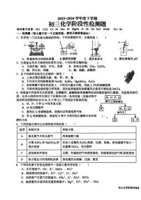 山东省日照市东港区新营中学2023-2024学年九年级下学期一模考试化学试卷