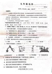 山东省潍坊市高密市立新中学2023-2024学年九年级下学期4月月考化学试题