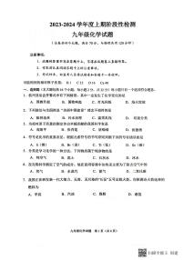 重庆市重庆市巴南区2023-2024学年九年级上学期1月期末化学试题