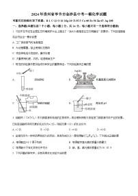 2024年贵州省毕节市金沙县中考一模化学试题（原卷版+解析版）