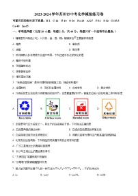 2024年江苏省苏州市高新区中考化学模拟练习卷（原卷版+解析版）