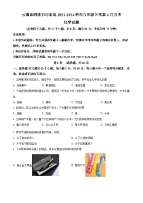 云南省昭通市巧家县2023-2024学年九年级下学期4月月考化学试题（原卷版+解析版）