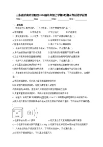 山东省济南市济阳区2024届九年级上学期1月期末考试化学试卷(含答案)