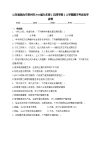 山东省烟台市莱州市2024届九年级（五四学制）上学期期末考试化学试卷(含答案)