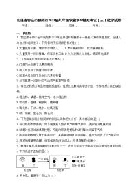 山东省枣庄市滕州市2023届九年级学业水平模拟考试（三）化学试卷(含答案)