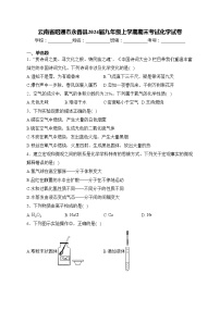 云南省昭通市永善县2024届九年级上学期期末考试化学试卷(含答案)