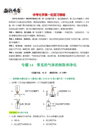 专题14 常见的气体的制取和净化（测试）-2024年中考化学一轮复习测试（全国通用）