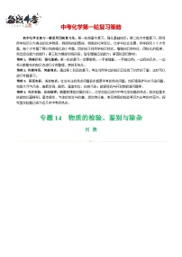 专题15 物质的检验、鉴别与除杂（讲义）-2024年中考化学一轮复习讲义（全国通用）