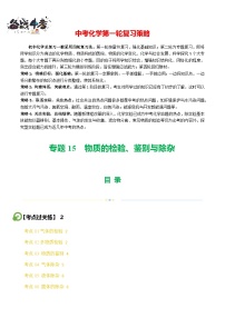 专题15 物质的检验、鉴别与除杂（练习）-2024年中考化学一轮复习练习（全国通用）