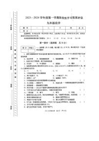 甘肃省陇南市宕昌县部分校联考2023-2024学年九年级上学期期末考试化学试题