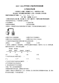 2024年辽宁省大连市金州区中考一模化学试卷