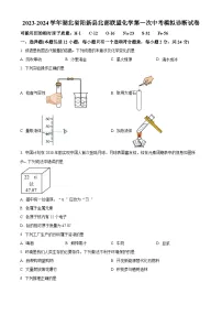 2024年湖北省黄石市阳新县北部联盟化学第一次中考模拟诊断试卷（原卷版+解析版）