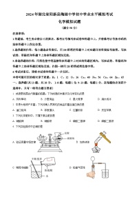 2024年湖北省黄石市阳新县陶港镇初级中学中考模拟化学试题（原卷版+解析版）