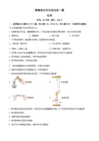 2024年湖南省永州市东安县中考一模化学试题（原卷版+解析版）