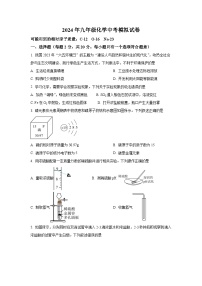 2024年江苏省徐州市沛县第五中学九年级化学中考模拟试题