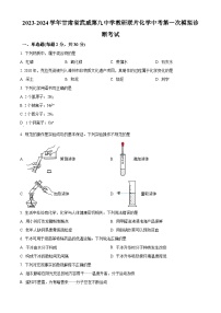 2024年甘肃省武威市凉州区第九中学教研联片中考一模化学试题（原卷版+解析版）