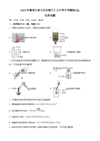 2024年黑龙江省大庆市第六十九中学中考化学模拟题5（原卷版+解析版）