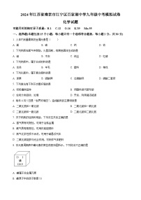 2024年江苏省南京市江宁区百家湖中学中考化学模拟试卷 （原卷版+解析版）