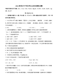 2024年山东省青岛市中考化学自主招生化学模拟试题（原卷版+解析版）