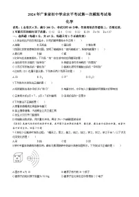 2024年广东省东莞市中考一模化学试题