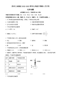 江苏省苏州市工业园区2022-2023学年九年级下学期3月月考化学试题