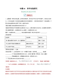 中考化学二轮复习讲义+训练专题06 科学实验探究（专题训练）（含解析）