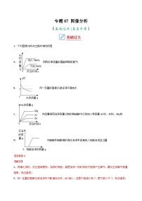 中考化学二轮复习讲义+训练专题07 图像分析（专题训练）（含解析）